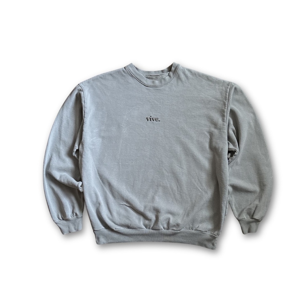 RARE Vive Men’s Large Sweatshirt Pullover Long Sleeve Crew Neck Light Gray